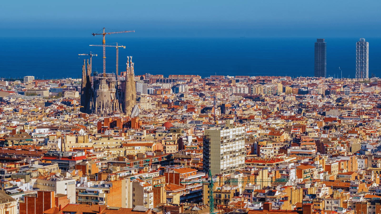 Operador logístico 3PL en Barcelona que reduzca costes: cómo elegirlo para crecer