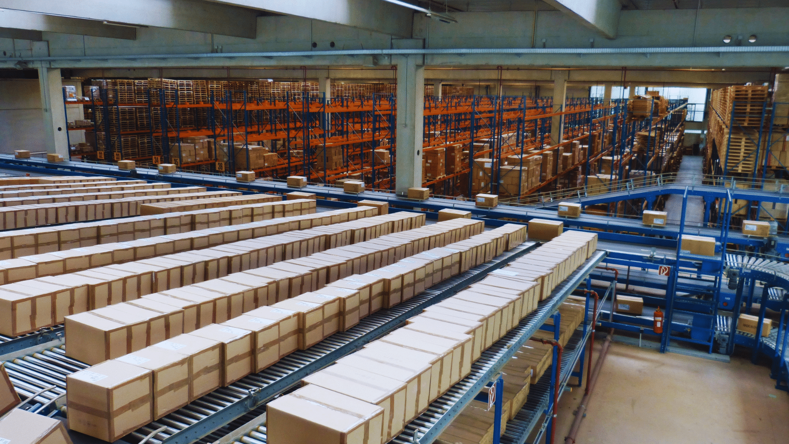 Empresa de packing vs operador logístico: diferencias que debes conocer antes de contratar